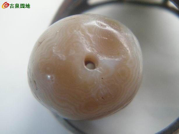 605_101385_e1d0fc88a2abbb5.jpg