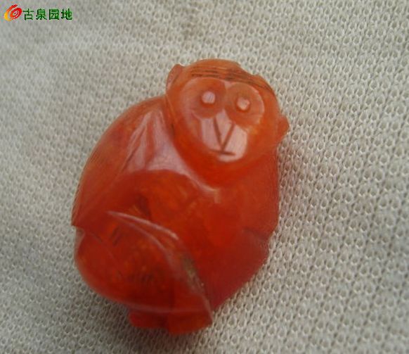 605_56617_654fc821c45bcd1.jpg
