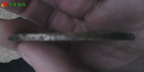 4_117675_56377f21cfbc945.jpg