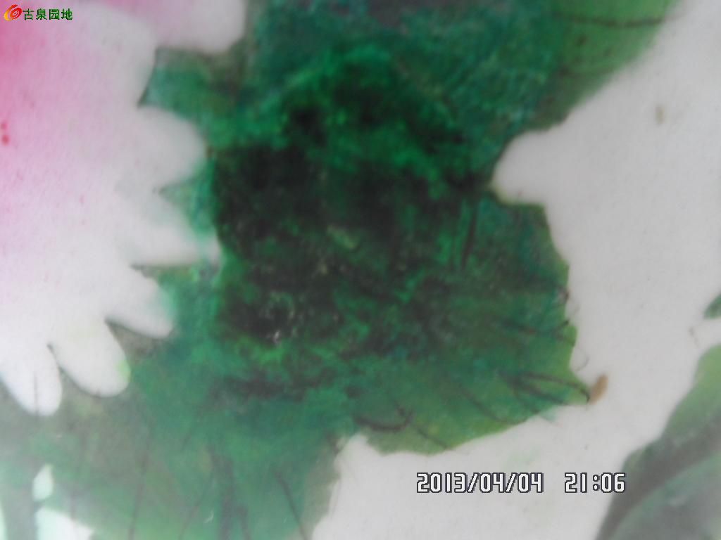 606_120019_173dabb0f363896.jpg