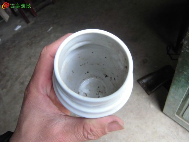 606_64440_101828d556f7375.jpg