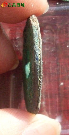 21_45375_472a349cc57e47d.jpg