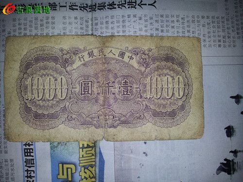 572_137149_66bdeffa9a65e48.jpg