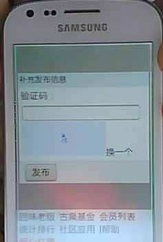 246_107240_45bf7cf5d95e472.jpg