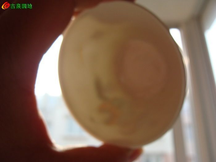 606_107202_7c0717c2bd9985e.jpg