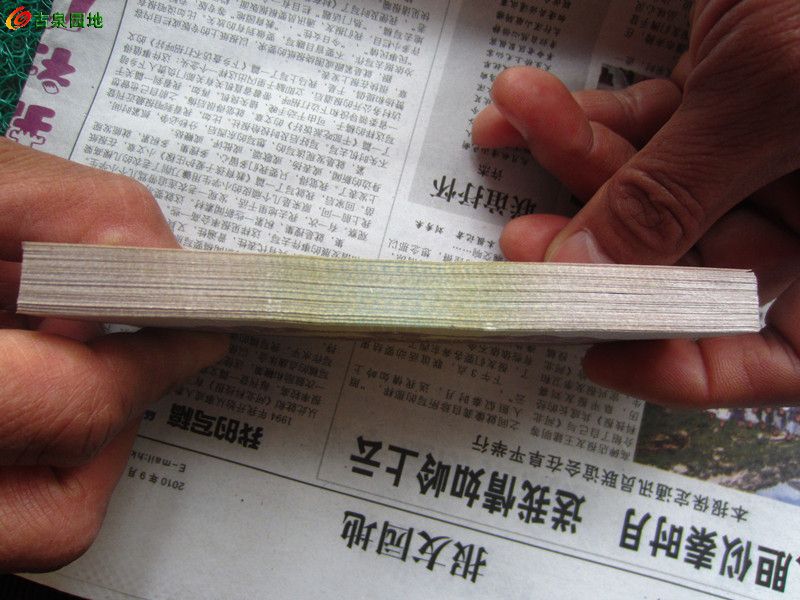 600_44382_0e2b310b452acef.jpg