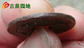 3_124374_11aecd7d07caf34.jpg