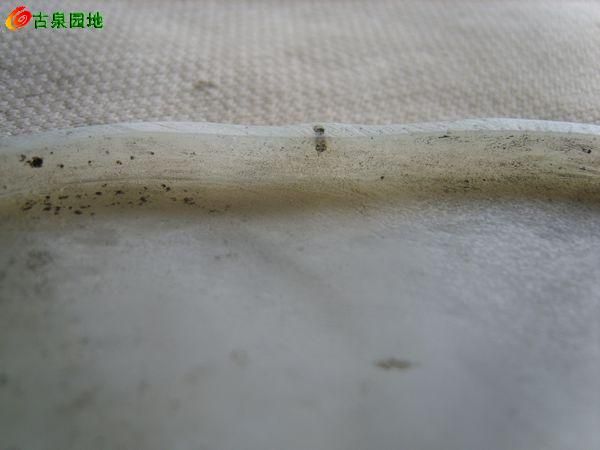 605_56617_9e8947f8e114bdf.jpg