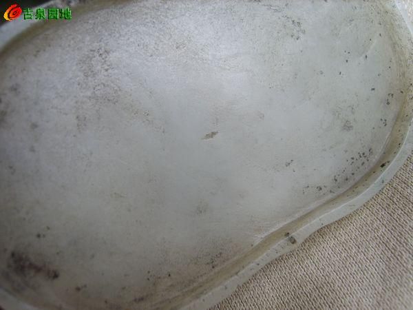 605_56617_aad19850d1feeae.jpg
