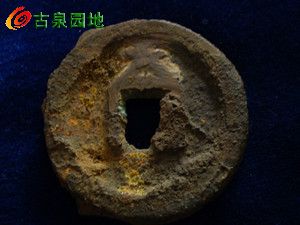 21_24802_8b45f7d92add1a8.jpg
