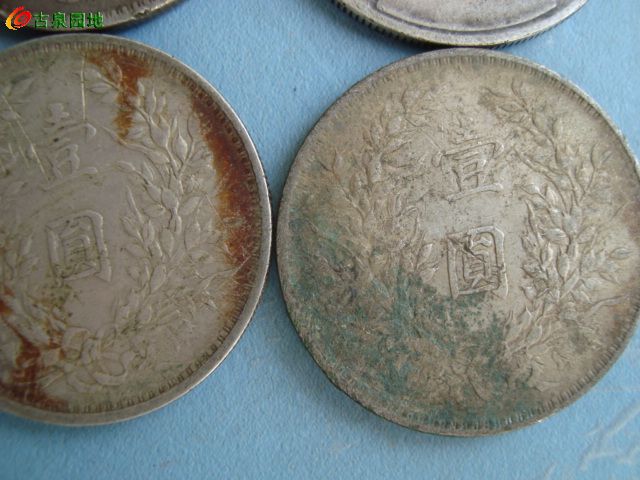 398_102699_47095e290c39082.jpg