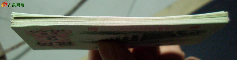 600_49099_3792a3c98ab00c8.jpg