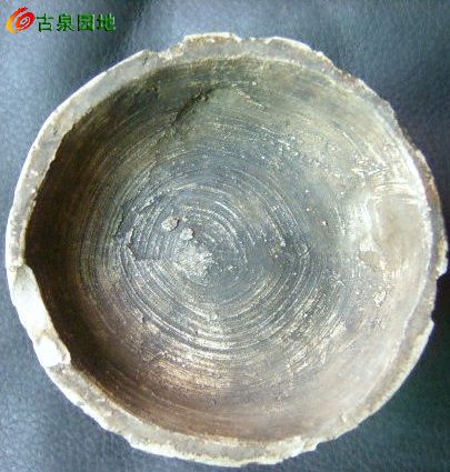 606_31924_c90ba1c9a511c1d.jpg
