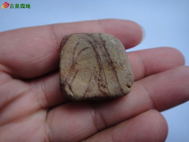 3_122106_d5ea98219d4cb99.jpg