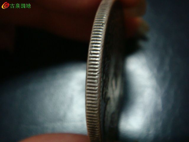 398_85522_2335471fd8caa0e.jpg