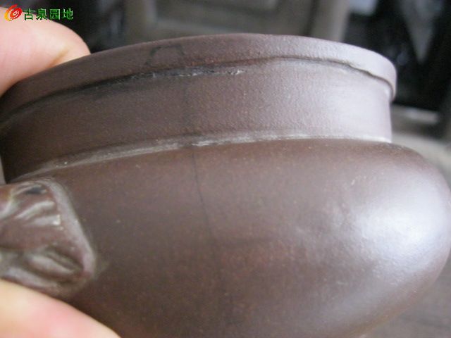 606_75619_8705a1d75cf7fdc.jpg