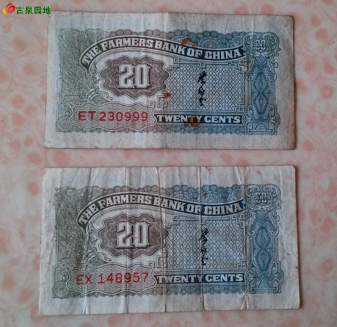 600_25454_65cd7d97b4ccb64.jpg