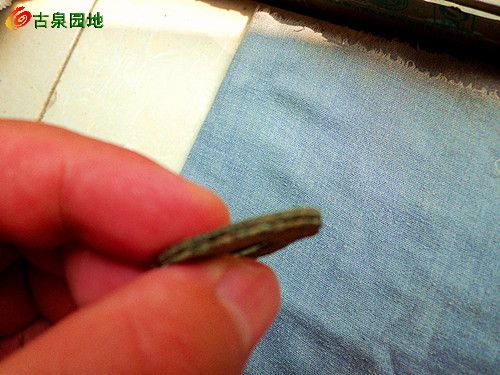 21_129707_2328e30a91675cc.jpg