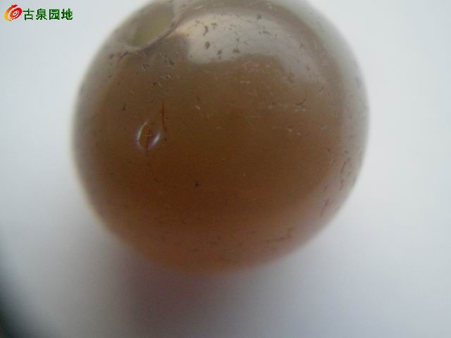 1256_101385_c6303a9f47be66c.jpg