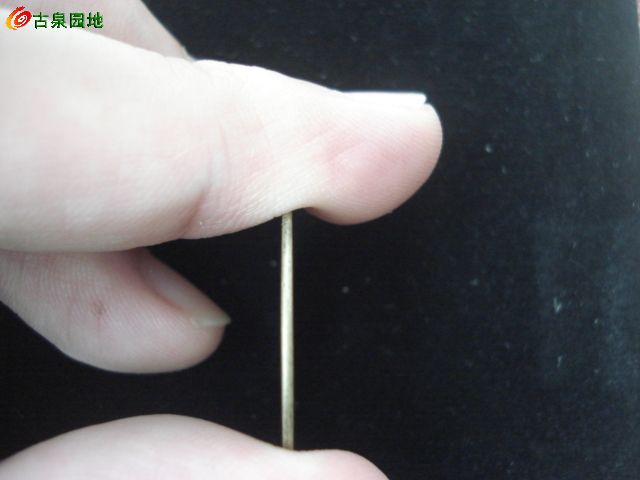 41_59518_83c867d94009857.jpg