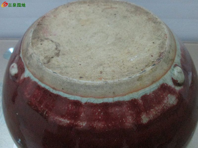 1256_63211_98de3af7419caa8.jpg