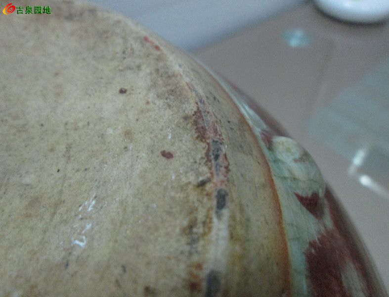 1256_63211_eae3d7ddbf54e3c.jpg