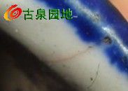 606_9767_ed4a76bbaabaed8.jpg