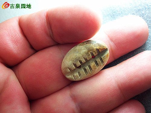 21_129707_0838ce8ea3191f8.jpg