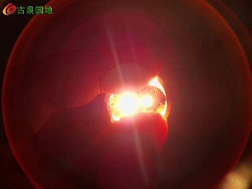 21_129707_df7bbcd35a84f44.jpg