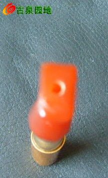 605_31924_2cffabd209b84a0.jpg