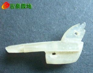 605_31924_ea40d312411e918.jpg