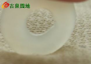 605_56617_652e96c8e0e9bb0.jpg