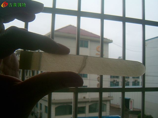 605_32848_79b98e0ed16d74b.jpg