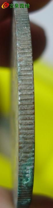 398_45569_dc0e2d3c1e29933.jpg