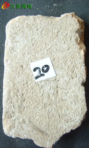 21_31924_2b69aa9c7272845.jpg