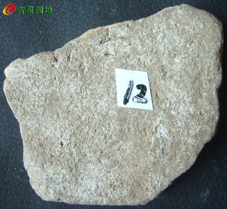 21_31924_3bc11be296859bd.jpg