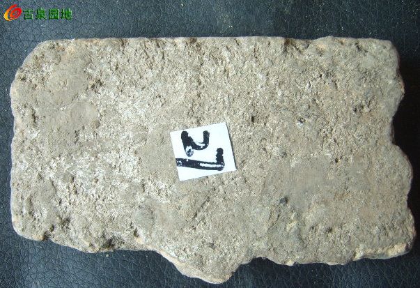 21_31924_8bc100cb6aab03c.jpg