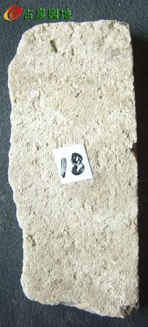 21_31924_d2c1bbf7e354e95.jpg