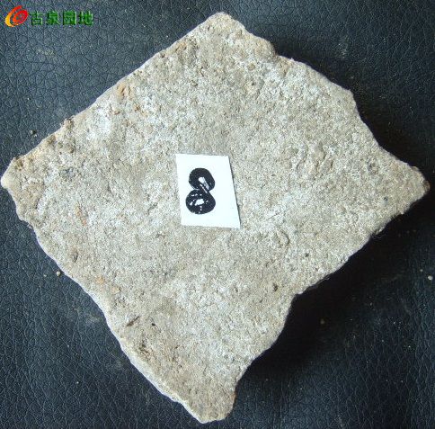 21_31924_da107569ee521ba.jpg