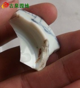 1256_133189_7986926ea5964c9.jpg