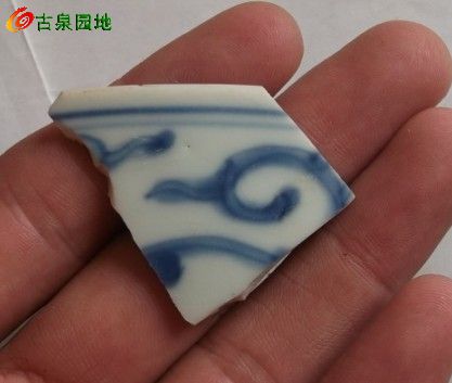 1256_133189_be0dea6367e438a.jpg