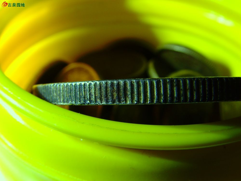 398_76730_d33e6a352ab1794.jpg