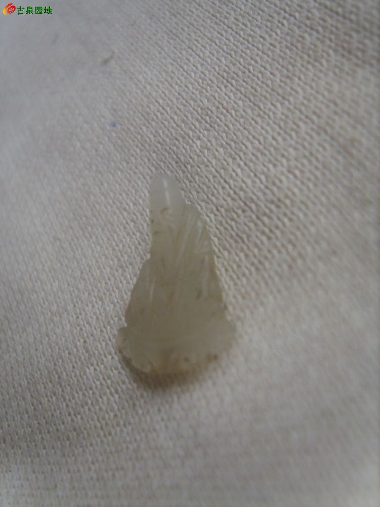 605_56617_c2647586130acaa.jpg