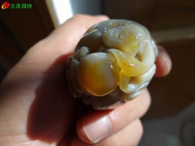605_42624_daa6df860ed32e7.jpg
