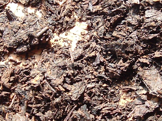6_10416_58f52e4419c42c6.jpg