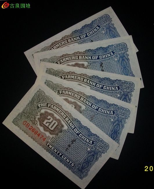 600_13017_41bbbddd15422cb.jpg