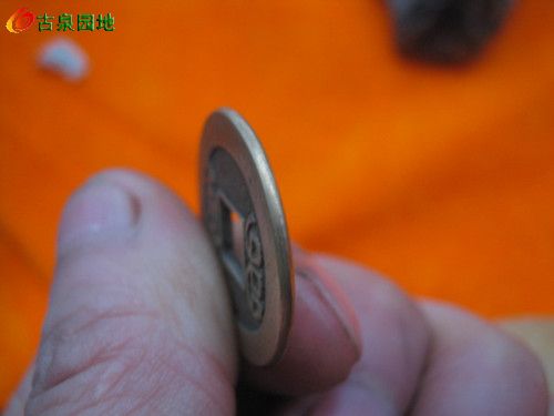 17_53421_3a28fe68b501d34.jpg
