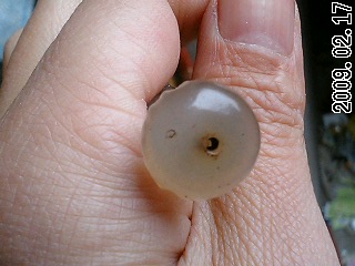 605_44382_8aad7708c9304c5.jpg