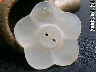 605_44382_fef466aa0af1216.jpg