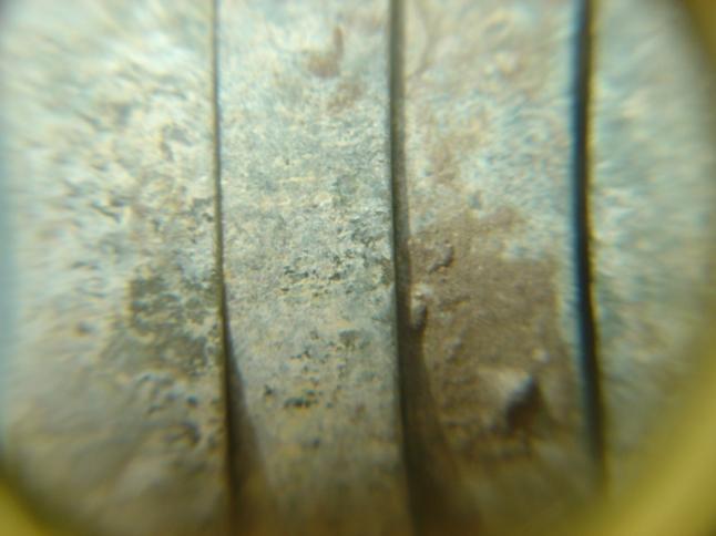 1_49783_fda88c64f12e05e.jpg